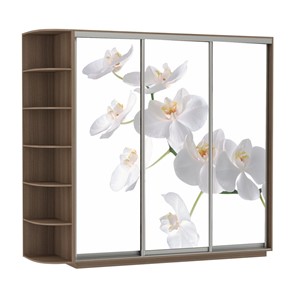 Шкаф 3-х дверный Е1 Экспресс со стеллажом, 2100х600х2200, Орхидея белая/шимо темный в Вологде