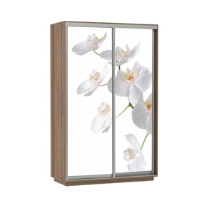 Шкаф 2-дверный Е1 Экспресс 1600x600x2400, Орхидея белая/шимо темный в Вологде
