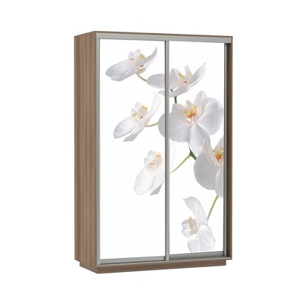 Шкаф 2-дверный Экспресс 1600x600x2400, Орхидея белая/шимо темный в Вологде - изображение
