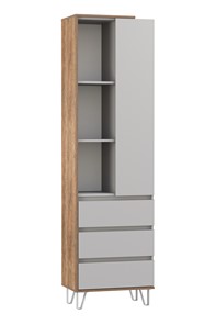 Комбинированный шкаф Гавана 58.03 в Вологде
