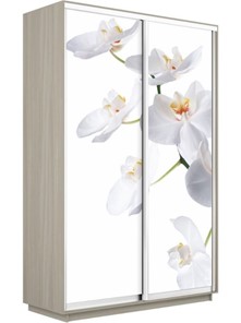 Шкаф 2-дверный Е1 Экспресс 1200x600x2200, Орхидея белая/шимо светлый в Вологде