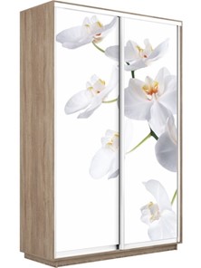 Шкаф 2-х дверный Экспресс 1600x450x2400, Орхидея белая/дуб сонома в Вологде