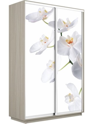 Шкаф-купе двухдверный Экспресс 1600x600x2400, Орхидея белая/шимо светлый в Вологде - изображение