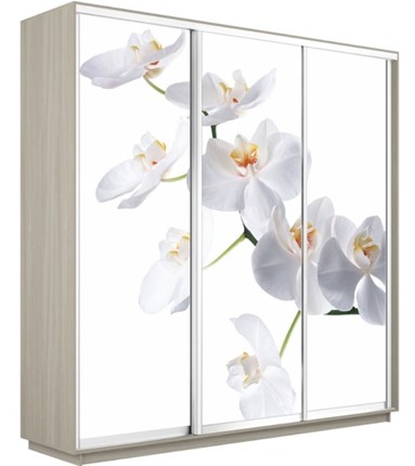 Шкаф-купе 3-х дверный Экспресс 1800х600х2200, Орхидея белая/шимо светлый в Вологде - изображение
