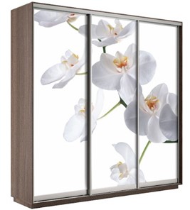 Шкаф 3-дверный Е1 Экспресс 1800х600х2400, Орхидея белая/шимо темный в Вологде
