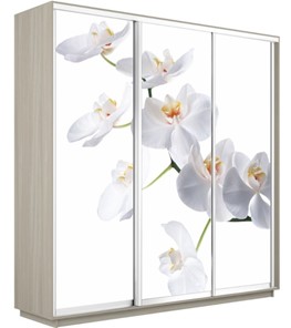 Шкаф трехдверный Экспресс 2400х600х2200, Орхидея белая/шимо светлый в Вологде