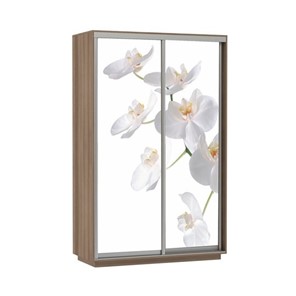 Шкаф 2-дверный Е1 Экспресс 1200x600x2400, Орхидея белая/шимо темный в Вологде