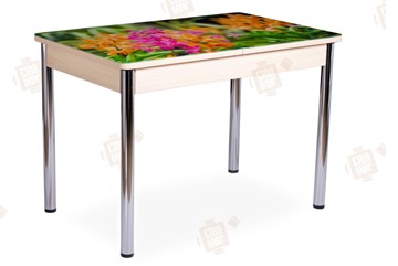 Кухонный раскладной стол Айсберг-02 СТФ, Дуб ЛДСП/полевые цветы/ноги хром прямые в Вологде