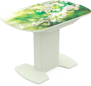 Кухонный стол раскладной Корсика исп. 2 Фотопечать (Цветы №45) 1200(1515)*800 в Вологде