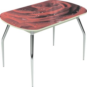 Кухонный стол раскладной Ривьера исп.1 ноги метал. крашеные №24 Фотопечать (Цветы №39) в Вологде