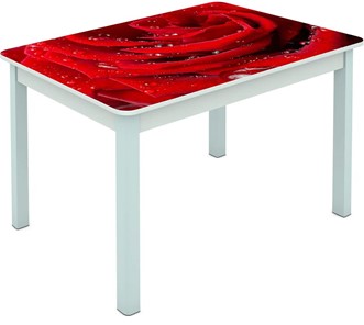 Обеденный стол Мюнхен исп. 1 ноги метал. крашеные №23 Фотопечать (Цветы №39) в Вологде