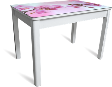 Кухонный раздвижной стол Айсберг-02 СТФ, белое лдсп/орхидея/40 прямые массив белые в Вологде