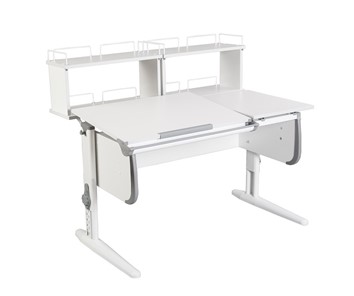 Детский стол-трансформер Дэми 1/75-40 (СУТ.25) + Polka_zz 1/600 (2 шт.)  белый/белый/Серый в Вологде