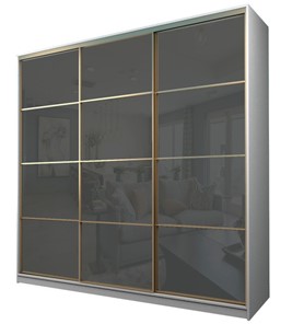 Шкаф 3-х дверный MAX МШ-25-6-24/2-222, Профиль Золото/Цвет Белый/Oraclal темно-серый в Вологде