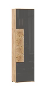 Шкаф одностворчатый Фиджи с декоративными накладками 659.300, Дуб Золотой/Антрацит в Вологде