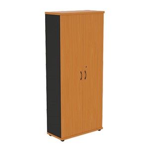 Шкаф 2-дверный Моно-Люкс R5S05 в Вологде