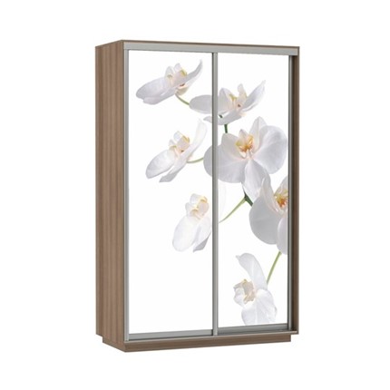 Шкаф Экспресс 1400x600x2400, Орхидея белая/шимо темный в Вологде - изображение