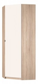 Распашной шкаф угловой Реал (YR-230х884-TR (9)-М Вар.2), без зеркала в Вологде