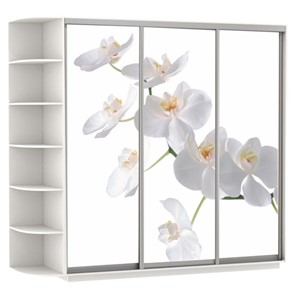 Шкаф 3-х створчатый Экспресс со стеллажом, 2700х600х2200, Орхидея белая/белый снег в Вологде
