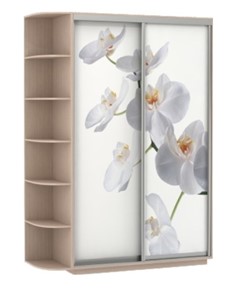 Шкаф-купе двухдверный Хит, 1500x600x2200, фотопечать, со стеллажом, белая орхидея, дуб молочный в Вологде - предосмотр
