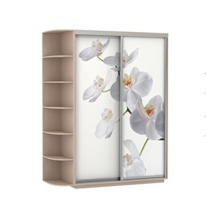 Шкаф Экспресс 1900x600x2200, со стеллажом, Орхидея белая/дуб молочный в Вологде - предосмотр