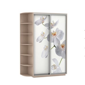 Шкаф 2-дверный Экспресс 1700x600x2200, со стеллажом, Орхидея белая/дуб молочный в Вологде - предосмотр