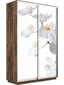 Шкаф 2-дверный Экспресс 1200x450x2200, Орхидея белая/дуб табачный в Вологде
