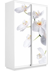 Шкаф двухдверный Экспресс 1200x450x2400, Орхидея белая/белый снег в Вологде