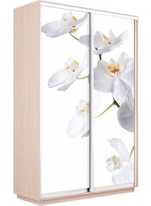 Шкаф 2-х створчатый Экспресс 1200x600x2200, Орхидея белая/дуб молочный в Вологде