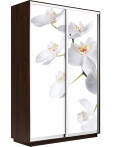 Шкаф 2-дверный Экспресс 1200x600x2400, Орхидея белая/венге в Вологде - предосмотр