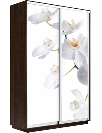 Шкаф 2-дверный Экспресс 1400x450x2200, Орхидея белая/венге в Вологде - изображение