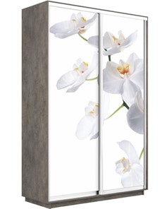 Шкаф 2-дверный Экспресс 1400x600x2200, Орхидея белая/бетон в Вологде