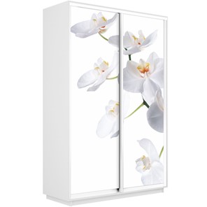 Шкаф Экспресс 1600x450x2400, Орхидея белая/белый снег в Вологде - предосмотр