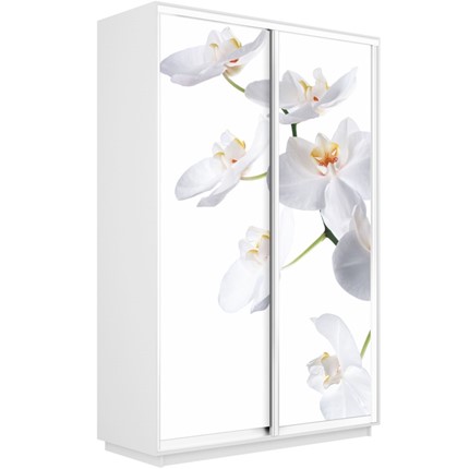 Шкаф Экспресс 1600x450x2400, Орхидея белая/белый снег в Вологде - изображение