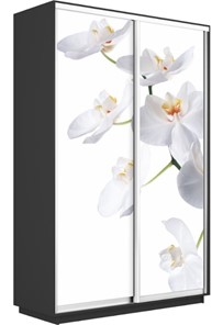 Шкаф 2-х дверный Экспресс 1600x600x2400, Орхидея белая/серый диамант в Вологде - предосмотр