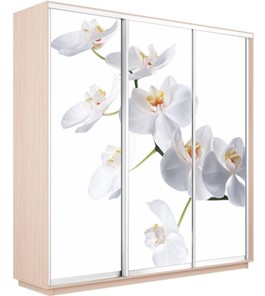 Шкаф 3-дверный Экспресс 1800х600х2200, Орхидея белая/дуб молочный в Вологде