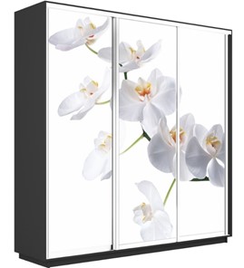 Шкаф 3-дверный Экспресс 1800х600х2400, Орхидея белая/серый диамант в Вологде