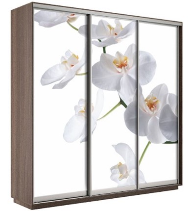 Шкаф 3-дверный Экспресс 1800х600х2400, Орхидея белая/шимо темный в Вологде - изображение