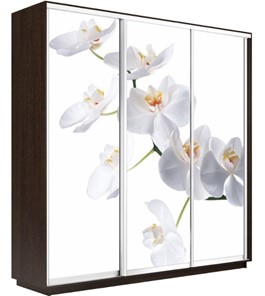 Шкаф 3-створчатый Экспресс 2100х450х2200, Орхидея белая/венге в Вологде