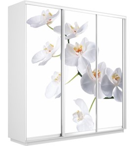 Шкаф 3-створчатый Экспресс 2400х450х2200, Орхидея белая/белый снег в Вологде