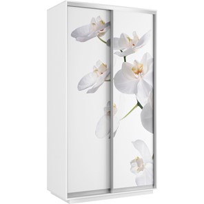 Шкаф 2-створчатый Хит 1200x600x2200, белая орхидея, белый снег в Вологде