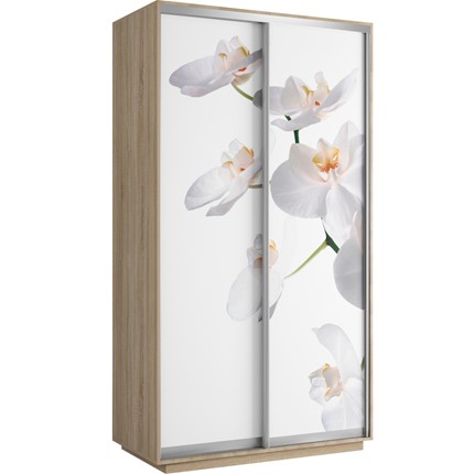 Шкаф-купе Хит 1200x600x2200, белая орхидея, ясень шимо светлый в Вологде - изображение