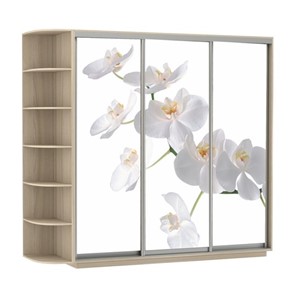 Шкаф 3-дверный Экспресс со стеллажом, 2400х600х2200, Орхидея белая/шимо светлый в Вологде - предосмотр