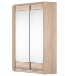 Угловой шкаф Аларти (YA-230х1250(602) (2) Вар. 1; двери D2+D2), с зеркалом в Вологде - предосмотр