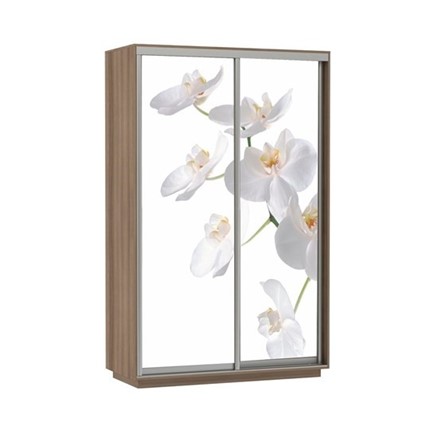 Шкаф 2-дверный Экспресс 1200x600x2400, Орхидея белая/шимо темный в Вологде - изображение