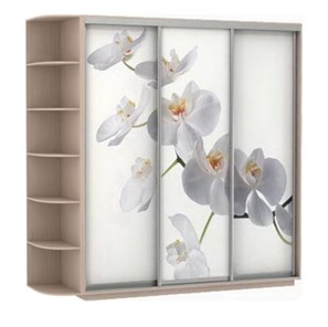 Шкаф 3-х створчатый Экспресс со стеллажом, 2400х600х2400, Орхидея белая/дуб молочный в Вологде