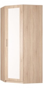 Распашной шкаф угловой Реал (YR-230х1034 (3)-М Вар.4), с зеркалом в Вологде - предосмотр