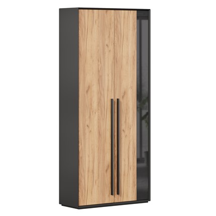 Шкаф для прихожей 2-дверный Неаполь ЛД.134050.000 (Черный/Дуб Золотой) в Вологде - изображение