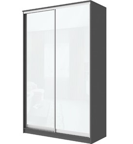 Шкаф 2-х дверный Хит-22-15-22 с цветным стеклом, белое №10, Графит в Вологде - предосмотр
