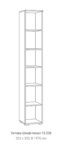 Распашной шкаф Октава 13.228, Серый в Вологде - изображение 1